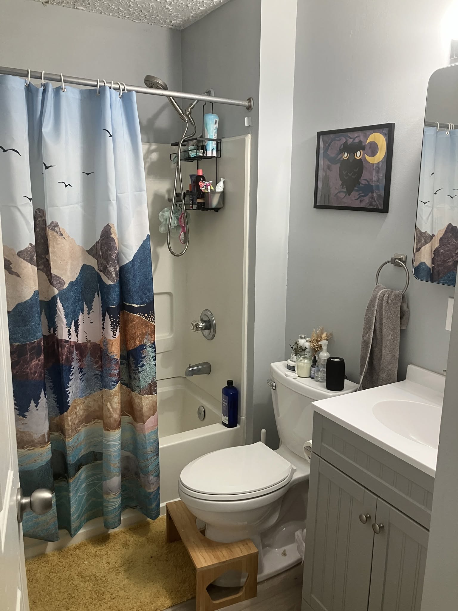 West Asheville - $725 + Utilities - 2 Bedrooms Available + Extra Space - Mid-Oct/Nov 1 - Washer/Dryer Included