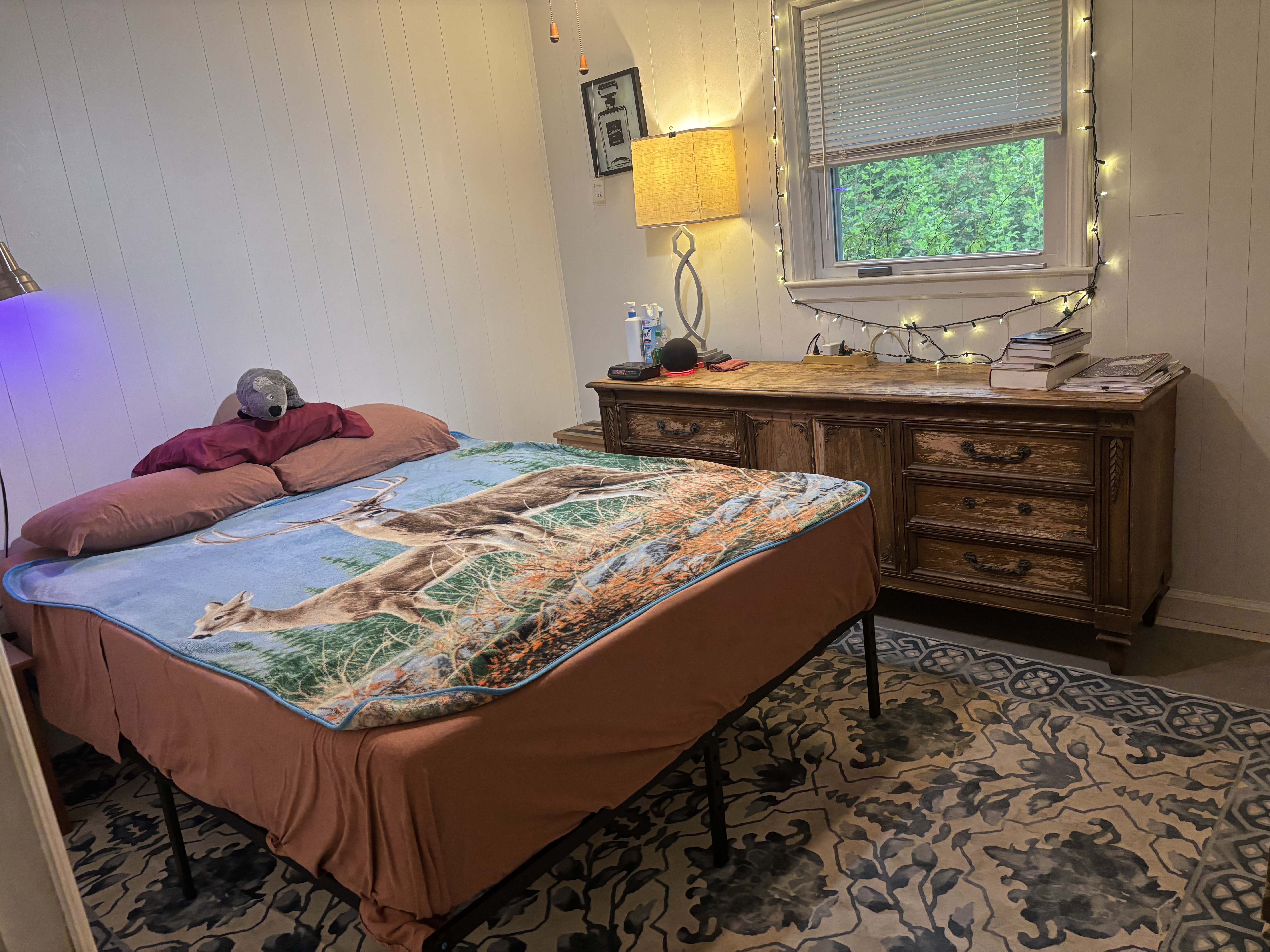 Nice Ranch House with Mountain Views close to Transit and Haywood Rd